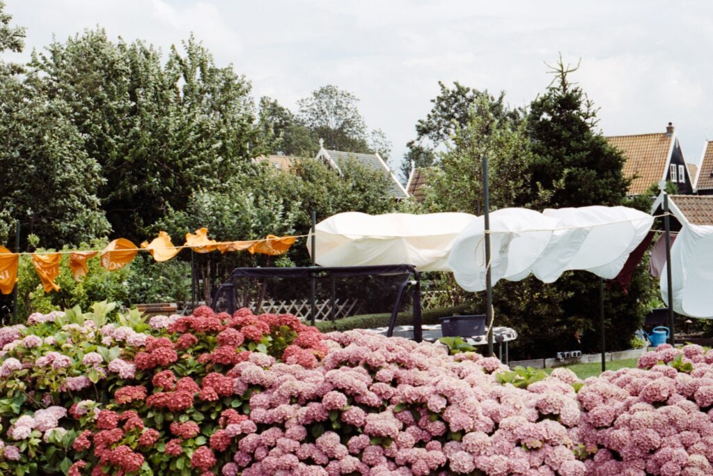 Omgeving Restaurant LEZZ Marken